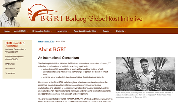 BGRI website screenshot