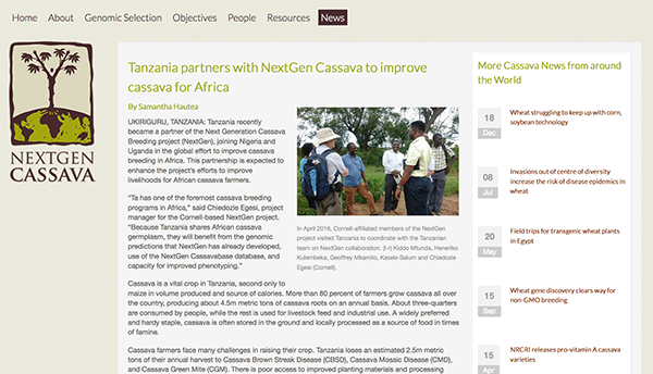 NextGen Cassava website screenshot